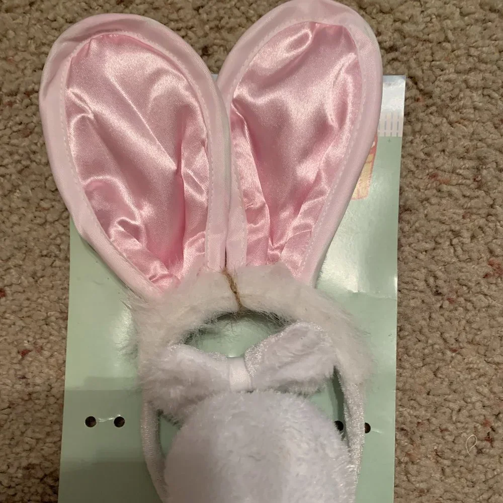 Happy Easter Bunny accessories costume set